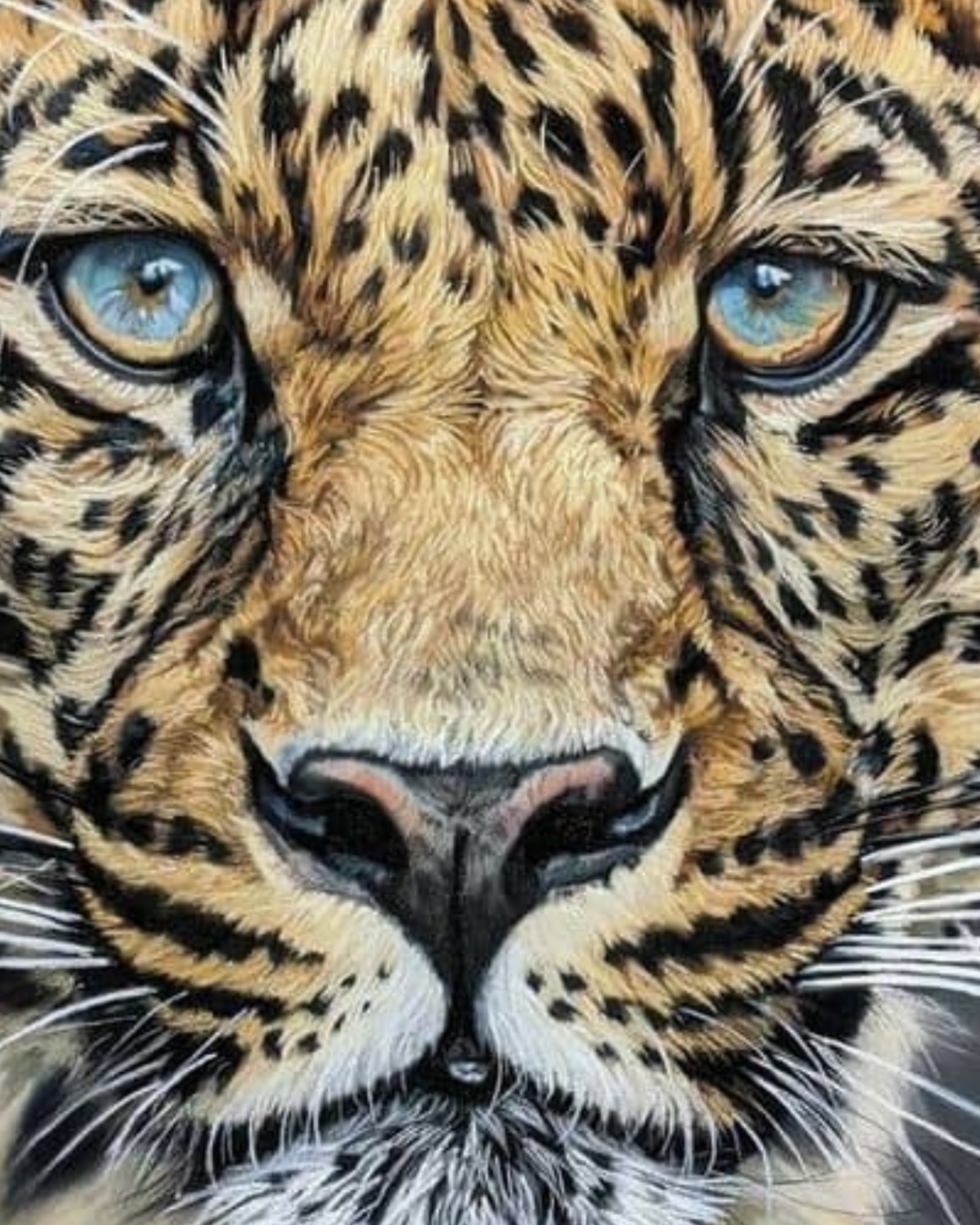 Close-up of a leopard's face with detailed fur and blue eyes.