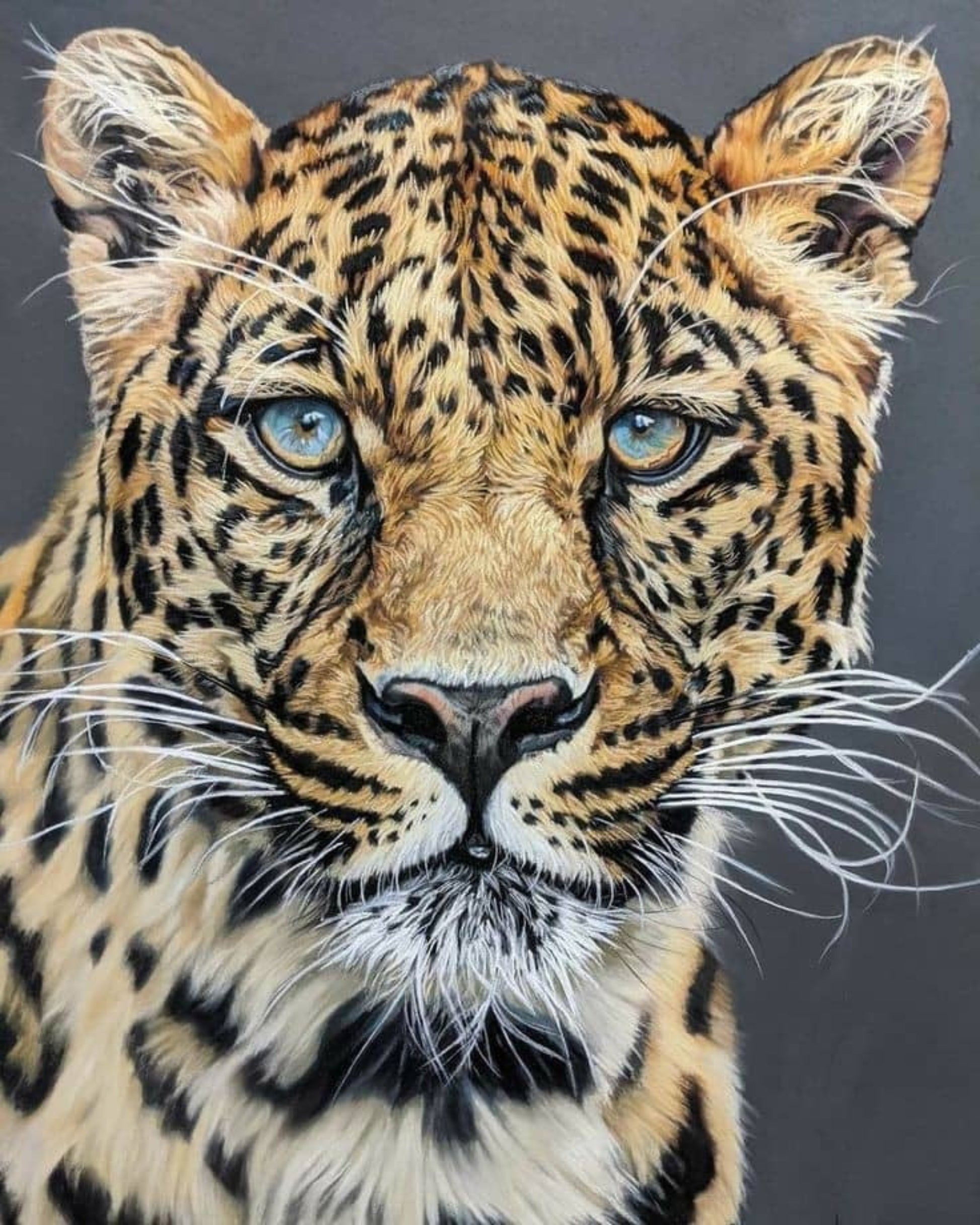 Close-up of a leopard's face with detailed fur texture on a dark background